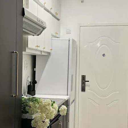 Apartmán Elegant Black&white *